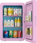Mini Fridge, 22L Portable Mini Refrigerator Personal Small