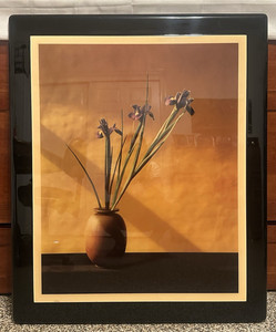 Robert Mapplethorpe Flowers | eBay