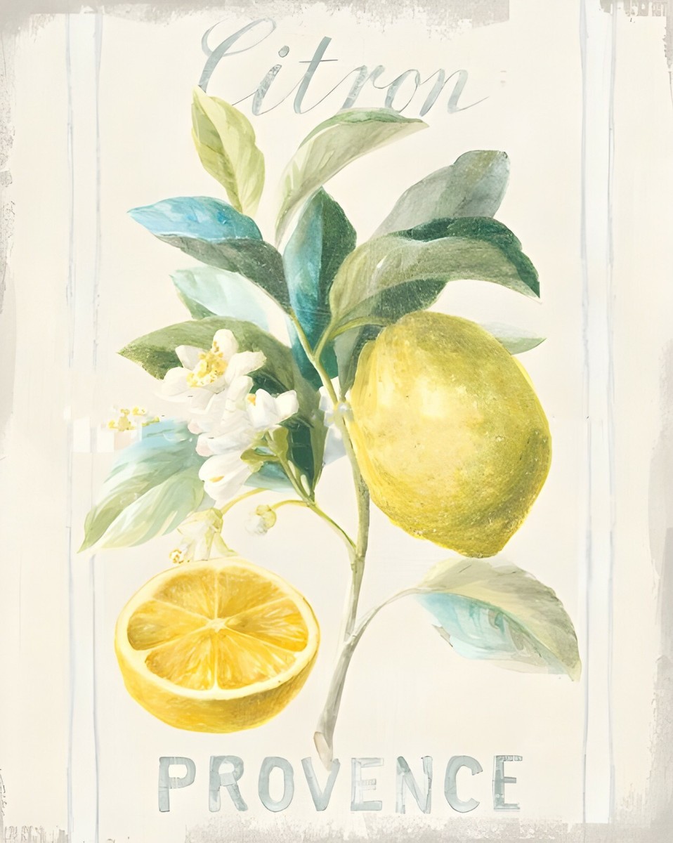 Lemon Painting Vintage Retro Style Decor Wall Art Set of 5 Prints
