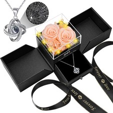 2 Preserved Rose Gift for Women - Eternal Rose with I Love You Necklace - Romant