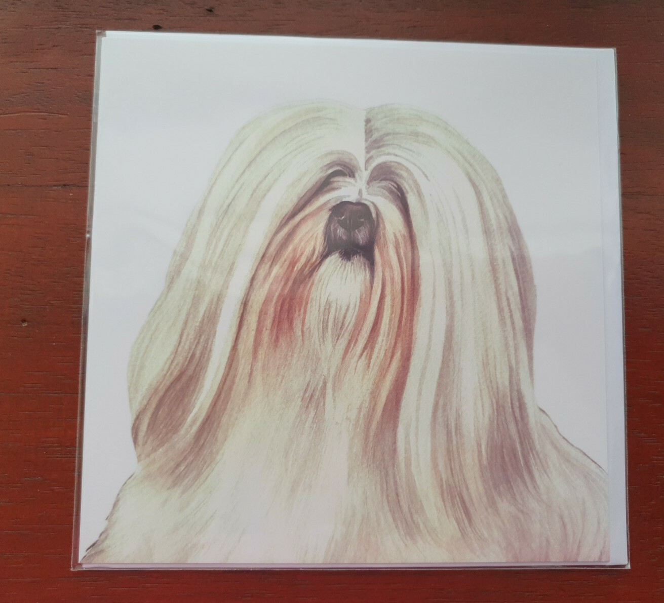 LHASA APSO greetings card dog blank card dogs Lhasa Apsos WaggyDogz art card