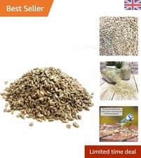 5kg Bag of Sunflower Hearts - Attract & Nourish Wild Birds Effortlessly 3.80 per kilo