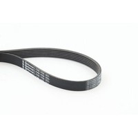 Keilrippenriemen Continental Ctam 6PK1750 FüR Alfa Romeo Chrysler CitroëN Fiat