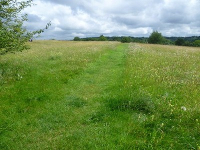 Photo A2 The way on to Riddlesdown Purley Riddlesdown is an area of chal c2012