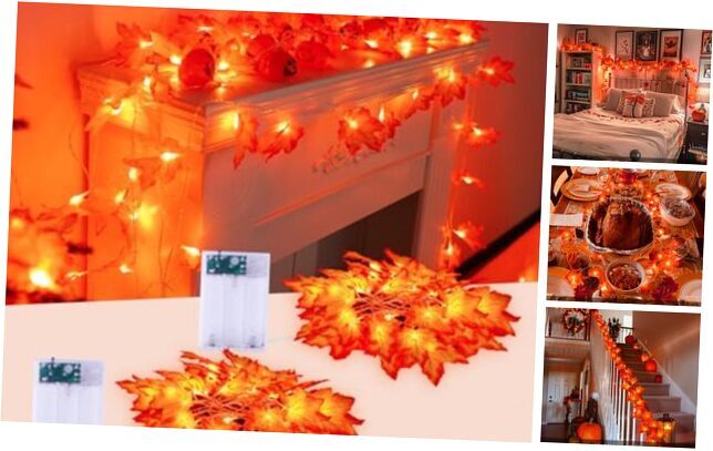 2 Pack Fall Decorations for Home, Total 22 FT 40 LED Fall Lights 2Pack 2Modes