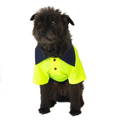 polo shirt for dogs