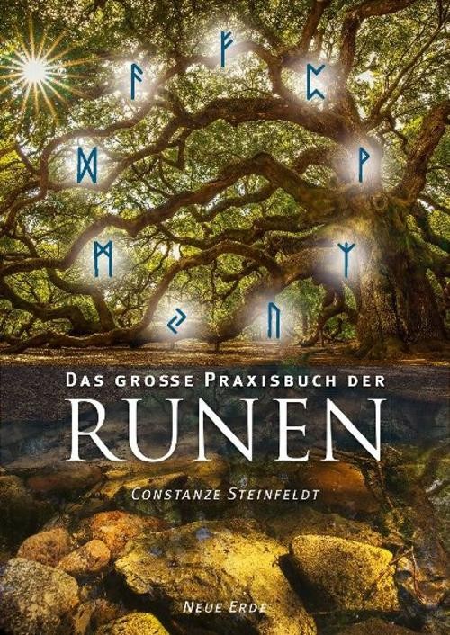 Das große Praxisbuch der Runen Constanze Steinfeldt