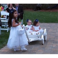 Mini Wedding Wagons Charming Cinderella Carriage Gloss, White on sale Mini Wedding Wagons Charming Cinderella Carriage Gloss, White on sale