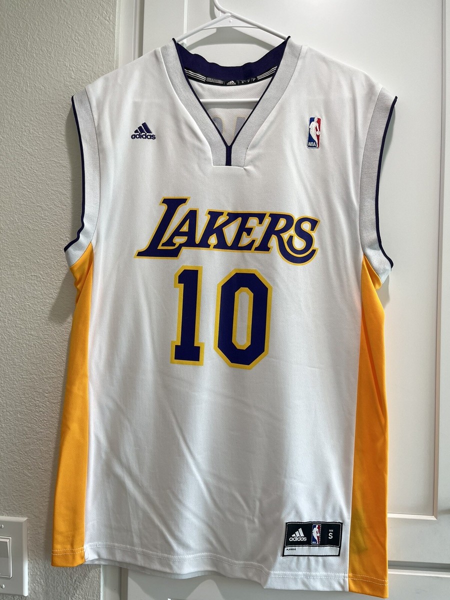 Adidas NBA LA Los Angeles Lakers Steve Nash #10 Basketball Jersey