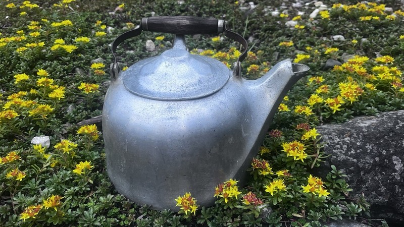 Vintage Wagner Ware Sidney O Metal Tea Kettle Wood Handle 8in