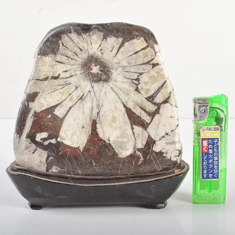 白色石头日本古董| eBay