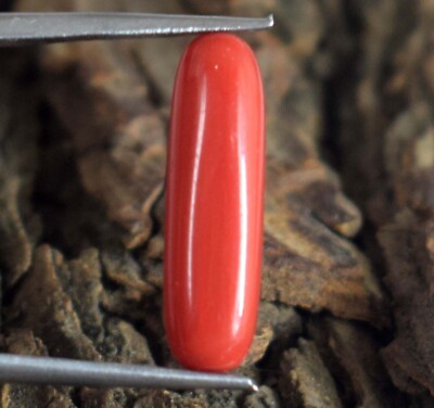 4,35 Ct Roter Naturkoralle Zylindrisch Lose Edelstein AGI Zertifiziert