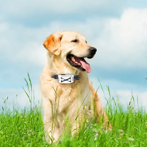 Elektrozaun für Hunde 2 in 1 Kabellos Hundezaun Halsband Haustier Eindämmungssystem - Bild 66 von 77