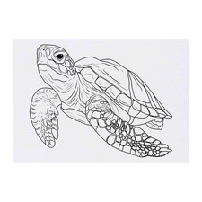 'Sea Turtle' Temporary Tattoos / Transfers TO00071941 