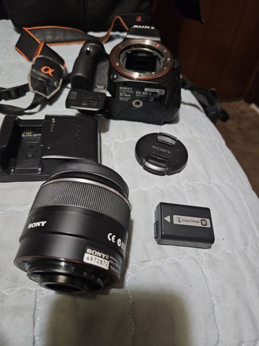 Sony Alpha A55 - Picture 5 of 11