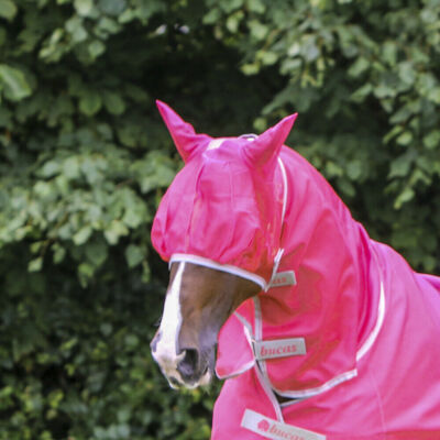 % Bucas Freedom Fly Mask Fliegenmaske - paradise pink - Reitsport NuddelHof -NH