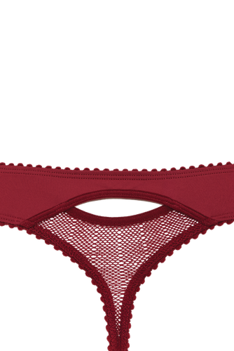 CLEARANCE - Marlies Dekkers The Mauritshuis Thong in Rhubarb Red - S, M, L - Picture 4 of 4