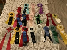 2000s Lot 20 horse show ribbons rosettes crafts Washington State Equestrian Fair
