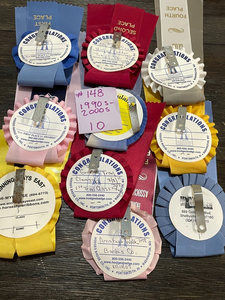 Lot 10 horse show ribbons rosettes Kentucky Derby Party Decor craft GA ...