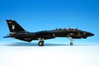 Century Wings Grumman F-14A Tomcat USN VX-4 Vandy 1/Black Bunny, 1/72, CW-001642 — photo 5