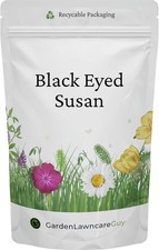 Black Eyed Susan Seeds - 20g Resealable Pouch – Ideal for Wildflower Meadows, 718.00 per kilo