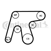 Continental Ctam Wasserpumpe + Keilrippenriemensatz 6PK1642WP3 FüR Mercedes W205