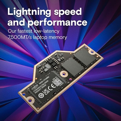 メモリー　32GB Crucial Crucial 32GB DDR5 7500MHz LPCAMM2 Memory Module | eBay