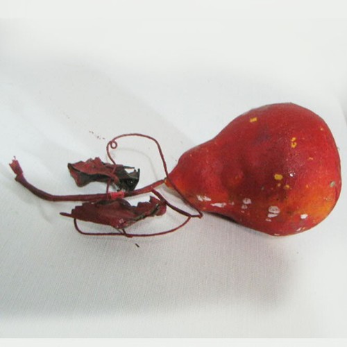 Vintage 6 Paper Mache Faux Fruit Pear Apple Decor Crafts Wreaths Liteweight 6" T - Imagen 3 de 10