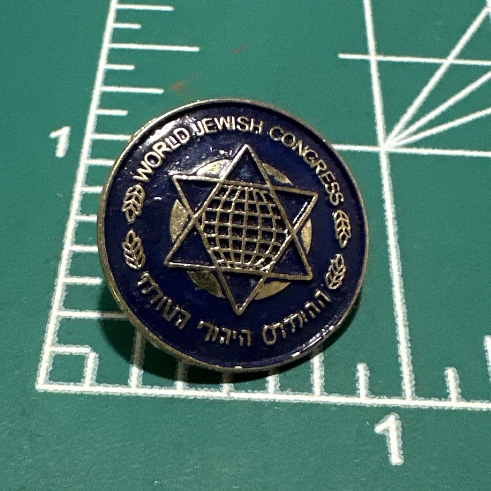 Vtg World Jewish Congress Lapel Pin Blue Enamel Brooch eBay