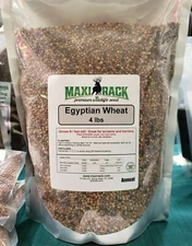 FOOD PLOT seed - 4 lbs Egyptian Wheat - MAXI-RACK