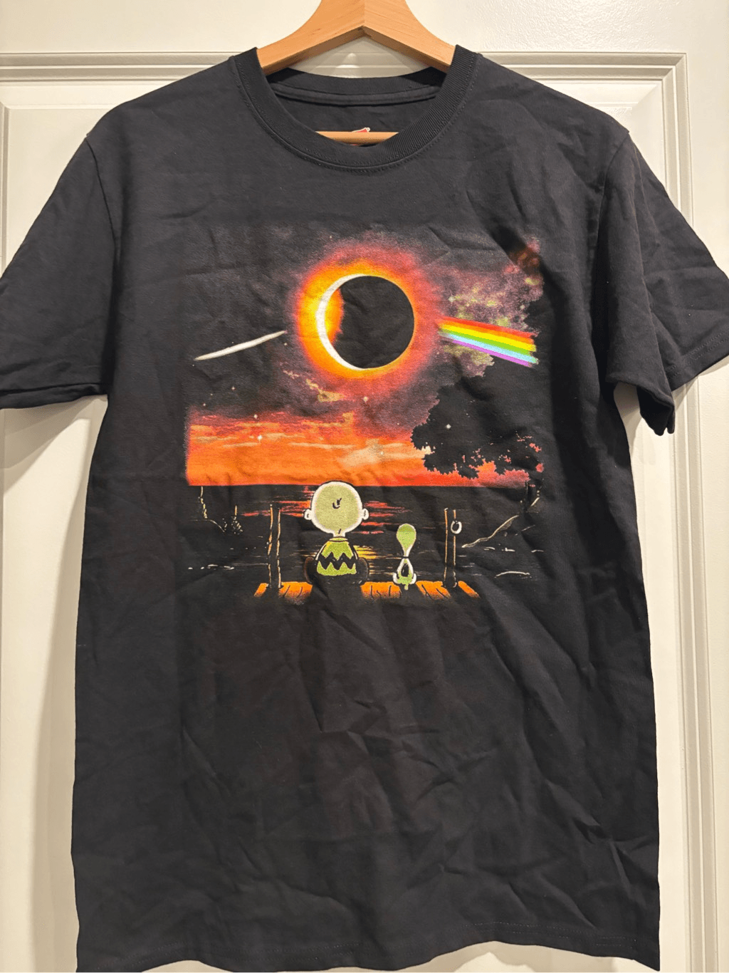 Charlie Brown Pink Floyd Eclipse Graphic Tee Small