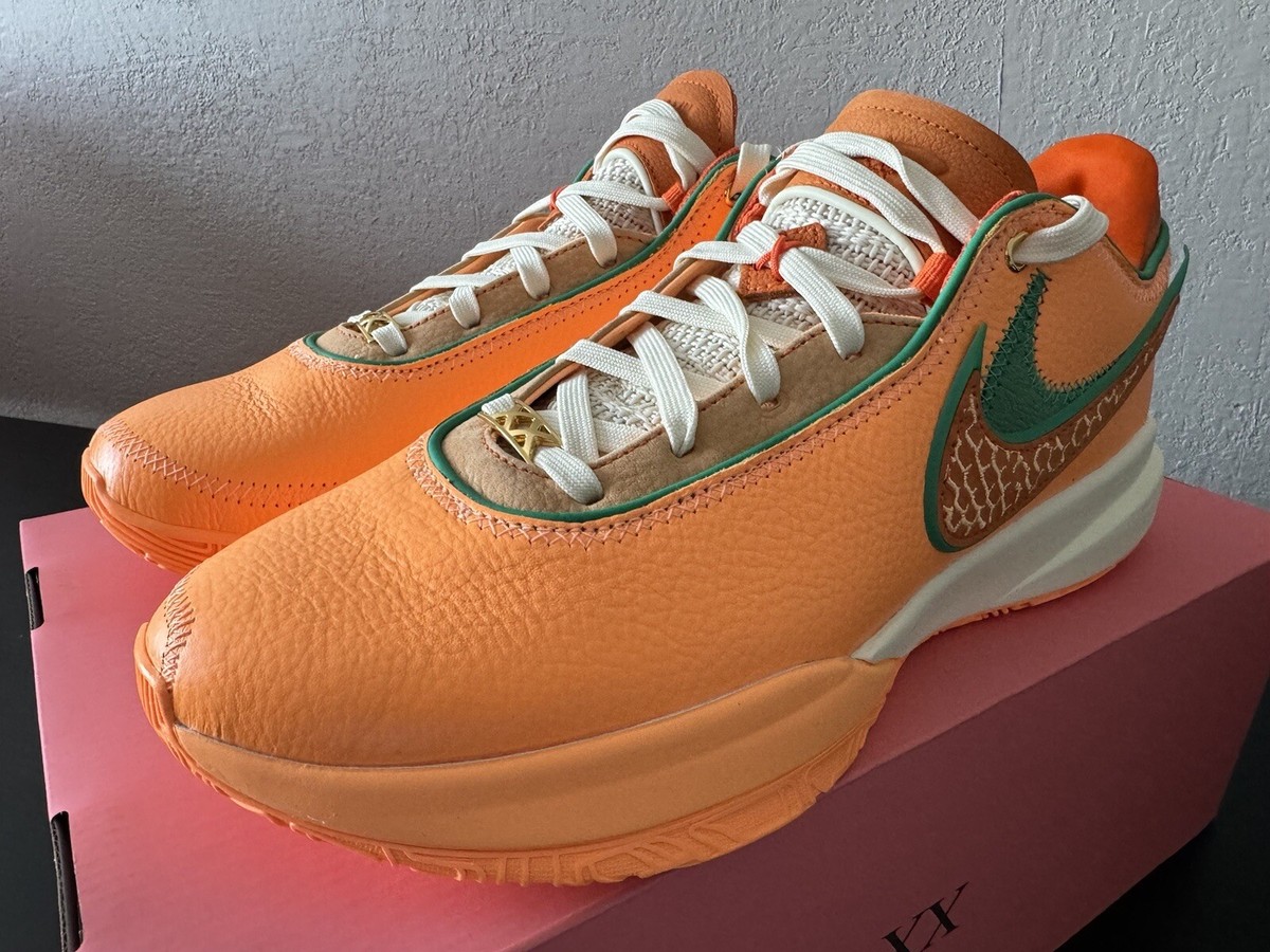 Nike x Florida A&M Uni x LeBron 20 From Tally To The World Size 9.5 FN8263‑100 Florida A&M University X A.P.B. X LeBron 20  main image 4