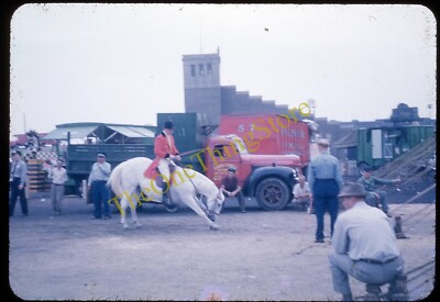 Ringling Brothers Circus Count Wagon Horse Truck 1950s 35mm Slide Philadelphia