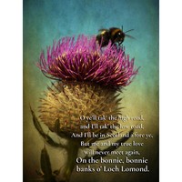 "Scottish Highlands Thistle Bonnie Banks Loch Lomond High Road Art Canvas 18X24\""