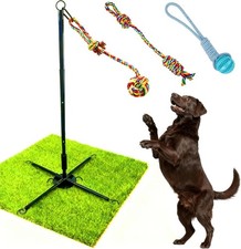 Tether Tug Outdoor Dog Toy Interactive Exercise Game for Yard Park 3 Rope Toys