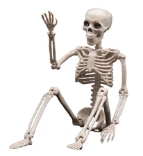 Halloween Skeleton Decoration Outdoor, 16" Plastic Posable Skeleton with Mova...
