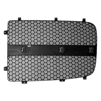 For Dodge Ram 1500 02-05 Sherman Passenger Side Grille Insert Value Line