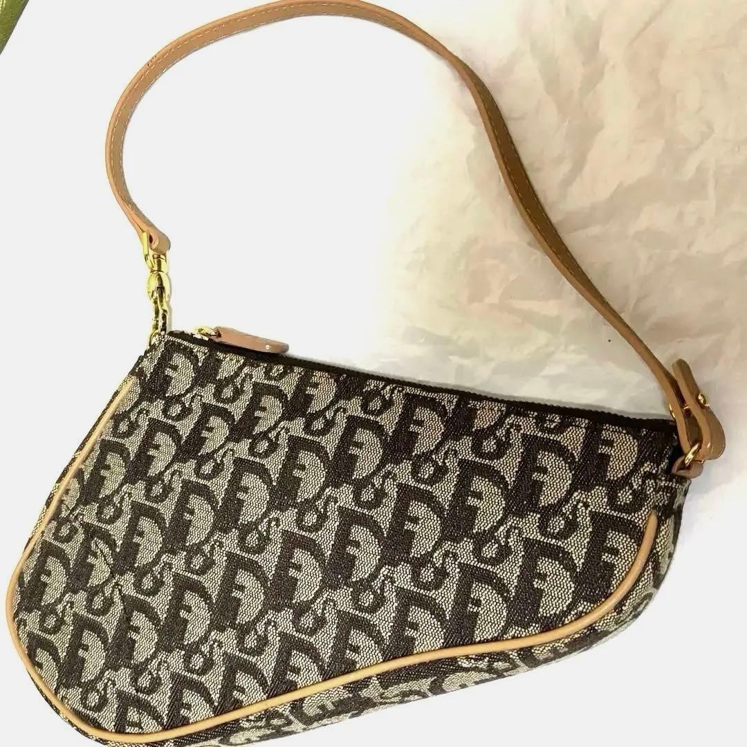 Christian Dior Trotter Canvas Saddle Accessory Pouch Brown Auth Good