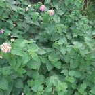 Bild 7 von 10