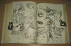 Bild 8 von 12