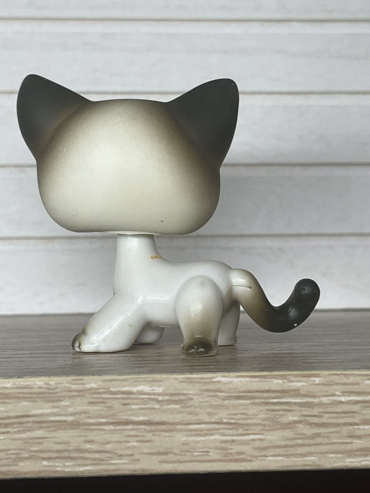 Figurine Littlest Pet Shop - Chat Européen 733 - Hasbro - Authentique
