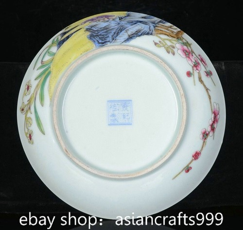 Assiette coupelle 6.2