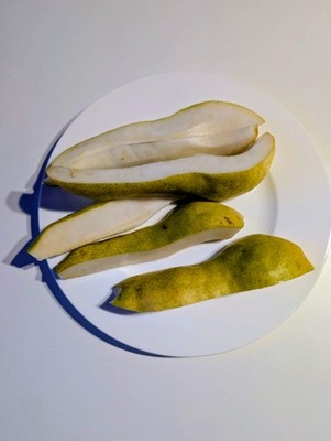 Abate Fetel Birne   Späte, aromatische Herbstbirne mit edlem Geschmack (reift au