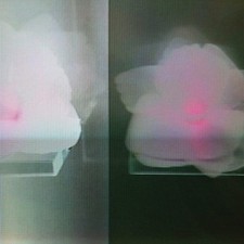 Tommy Vicari Jnr - Kept In [VINYL]