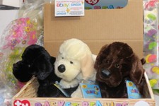 WEBKINZ LOT OF 3 BLACK YELLOW CHOCOLATE LABS-COMES WITH SEALED CODES-NICE GIFT