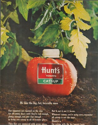 1963 Hunt's Tomato Catsup We Like The Big Fat Loveable Ones Vintage Print Ad
