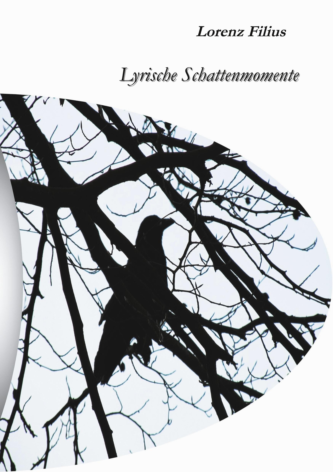 Lyrische Schattenmomente | Buch | 9783848263042