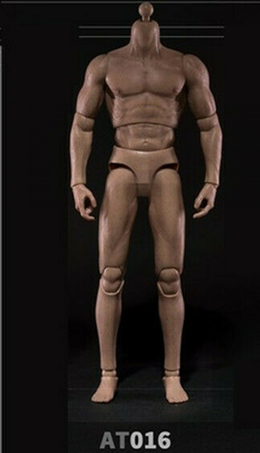Figura de acción 1/6 Worldbox AT016 masculino fuerte muscular 12" cuerpo muñeca soldado juguetes - Imagen 2 de 6