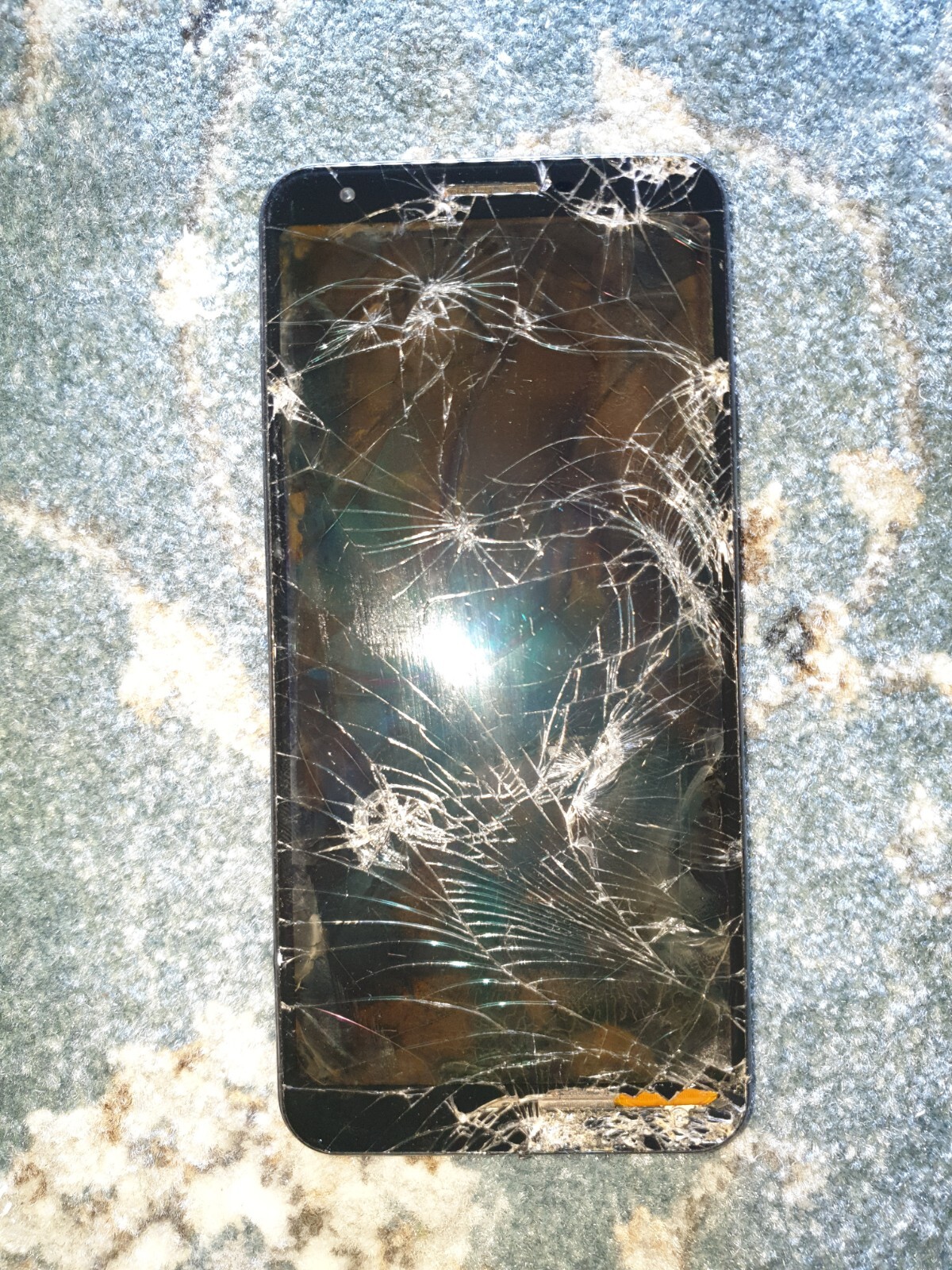 Picture 1 of 6