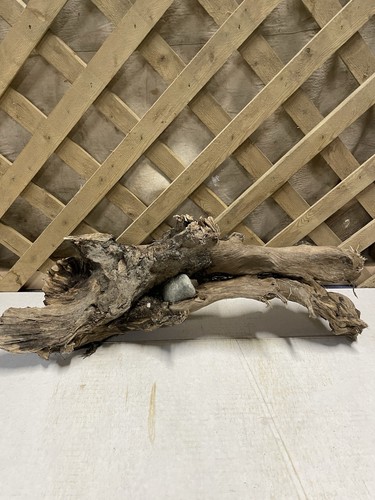 Fresh Water Driftwood With Embedded Rocks / Fish Tank Decor / Aquarium Ornament